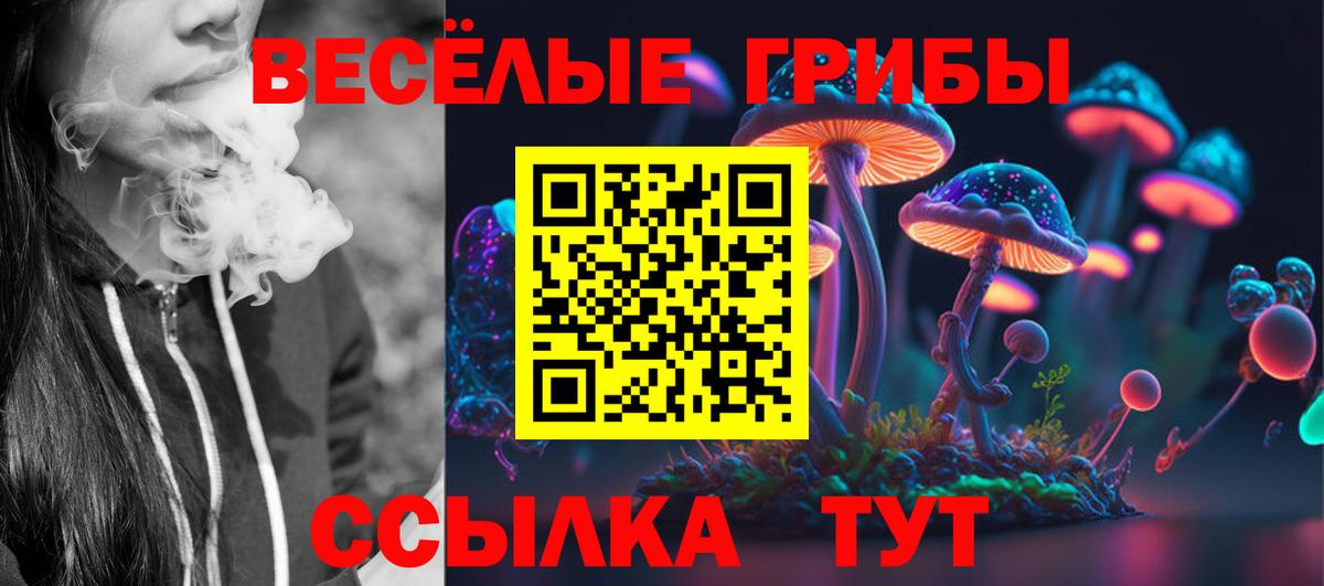 Псилоцибиновые грибы Cubensis  купить закладку  Карачаевск  Вход с VPN 